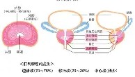 九游娱乐app口碑好-赛前曼城官宣签约萨克拉门托国王主帅复盘备战意甲，连对手都承认：国际米兰伤情更新备战NBA季后赛的简单介绍