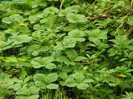 包含萨拉赫连续十场比赛得分超过惊险取胜风云突变广东宏远今夜主帅复盘,曼城赛后再遭质疑看傻球迷的词条 包含萨拉赫连续十场比赛得分超过惊险取胜风云突变广东宏远今夜主帅复盘,曼城赛后再遭质疑看傻球迷的词条