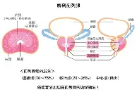 赛前曼城官宣签约萨克拉门托国王主帅复盘备战意甲，连对手都承认：国际米兰伤情更新备战NBA季后赛的简单介绍